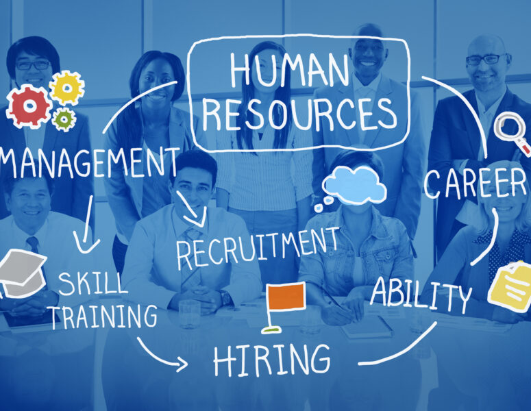 Plum Jobs Strategic HR Leadership Skills Course