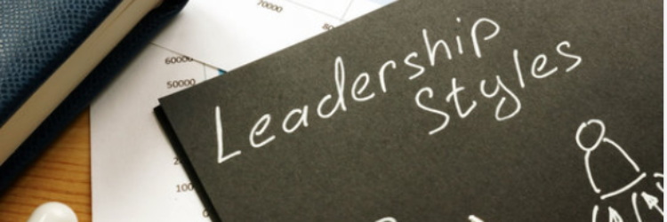 Plum Jobs skills course to indentify your leadership style to transition into leadership