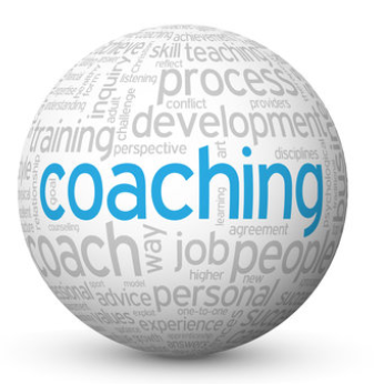 Plum Jobs leadership and business skills coaching