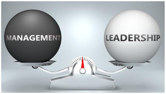 Plum Jobs strategic & high impact leadership coaching
