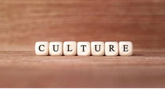 Create a customer centric business support company culture