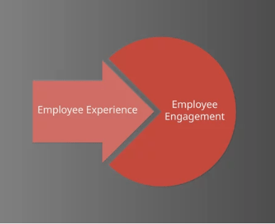 Employee Engagement 3