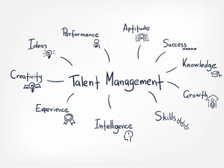 Talent management